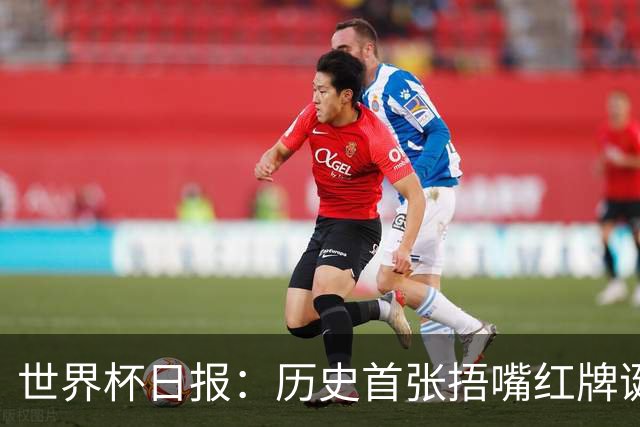世界杯日报：历史首张捂嘴红牌诞生 海地土耳其提前出局