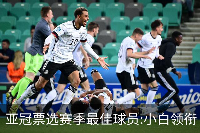 亚冠票选赛季最佳球员:小白领衔 奥古比埃拉上榜