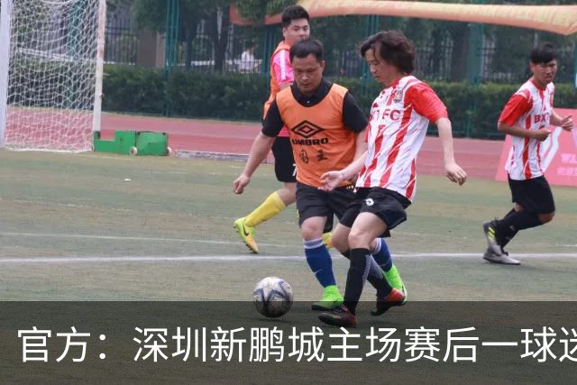 官方：深圳新鹏城主场赛后一球迷从看台跳入场内，深圳赛区被警告