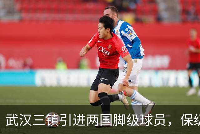 武汉三镇引进两国脚级球员，保级前景乐观
