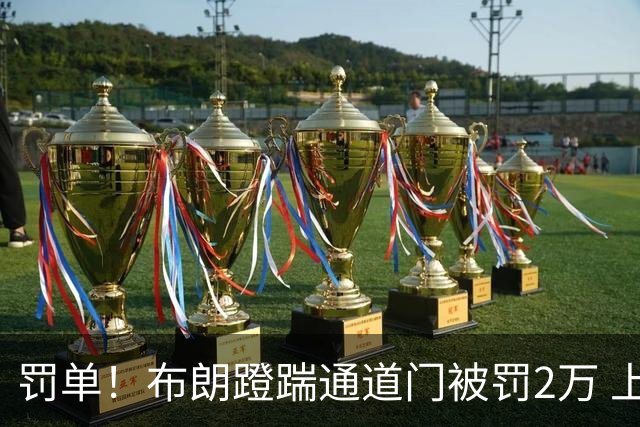 罚单！布朗蹬踹通道门被罚2万 上海主场因球迷被罚1万